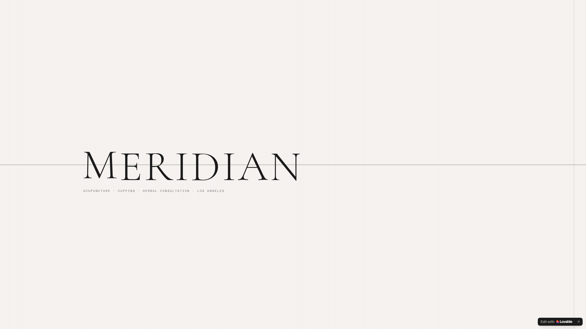 Meridian acupuncture concept site built in Lovable